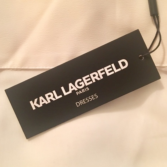 KARL LAGERFELD PARIS Solid Sheer Shawl - Picture 8 of 8